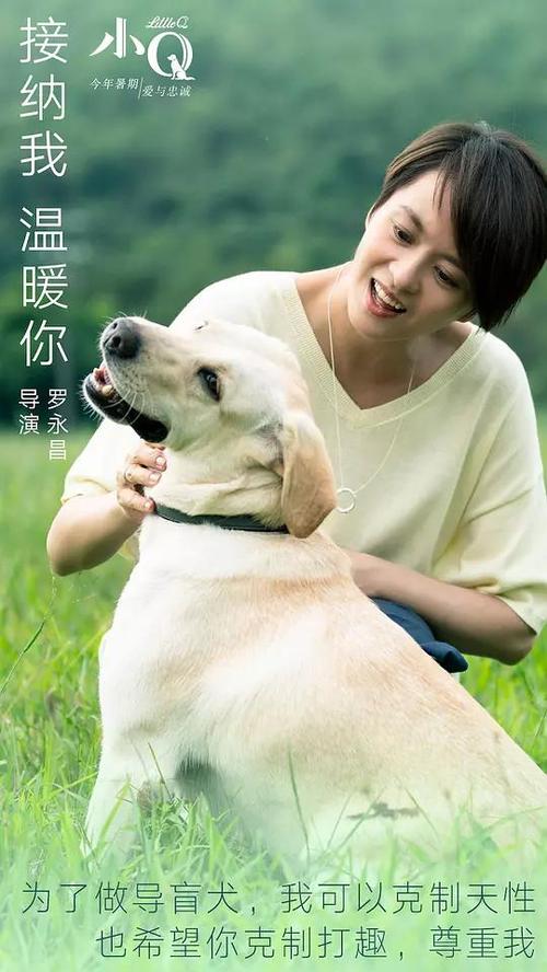 匹兹学院教育部认证办理